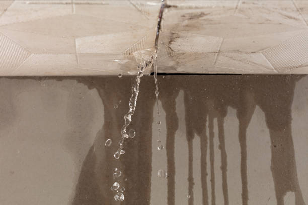 Professional Sewage Cleanup technician working in Paradise, TX